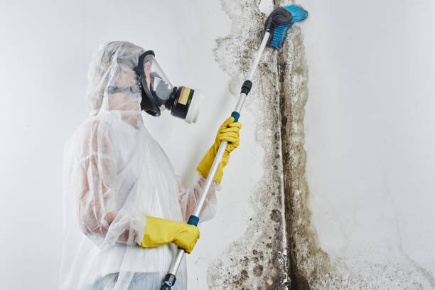 Water Damage Restoration in Sulphur, LA