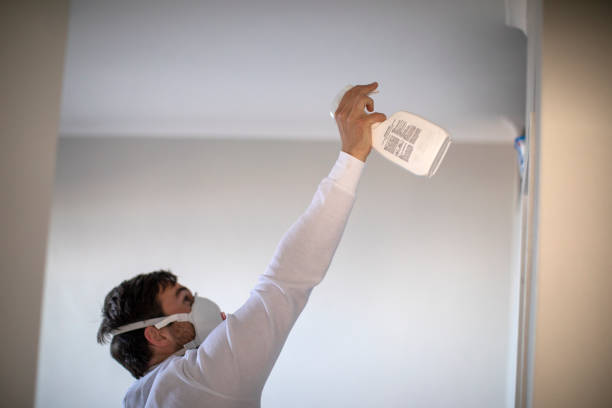 Best Mold Removal Company Near Me  in Sulphur, LA