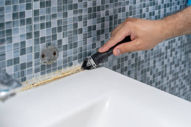 Best Home Mold Removal  in Sulphur, LA
