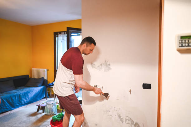 Best Emergency Mold Removal  in Sulphur, LA