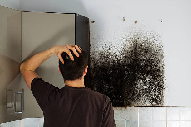 Best Residential Mold Removal  in Sulphur, LA